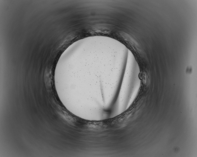 X0000102030915200808081808