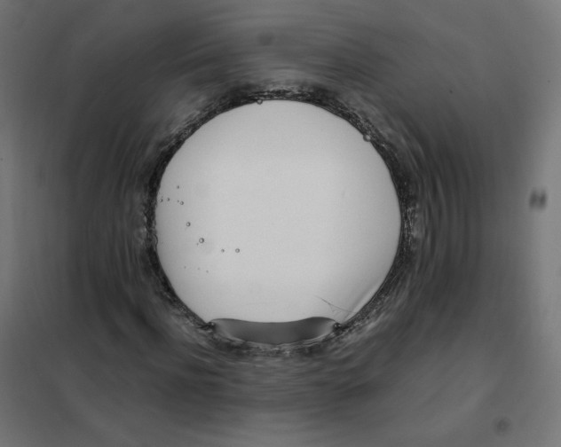 X0000102030916200808081808