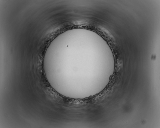 X0000102030917200808081808