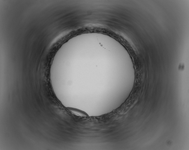 X0000102030919200808081808