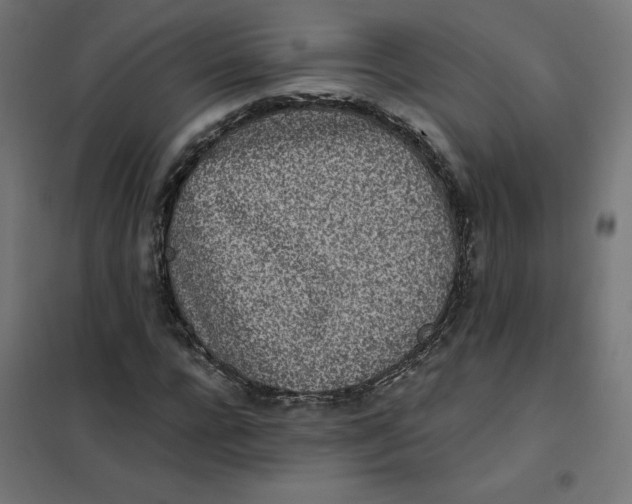 X0000102030920200808081808