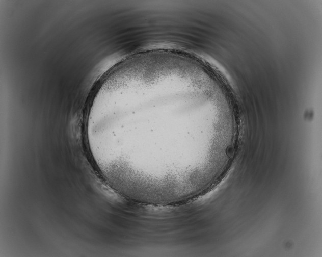 X0000102030921200808081808