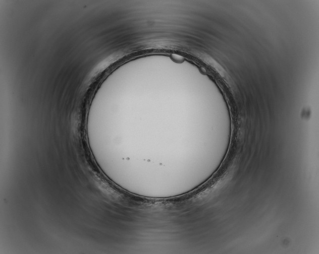 X0000102030922200808081808