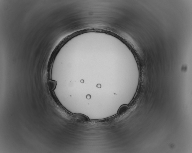 X0000102030924200808081808