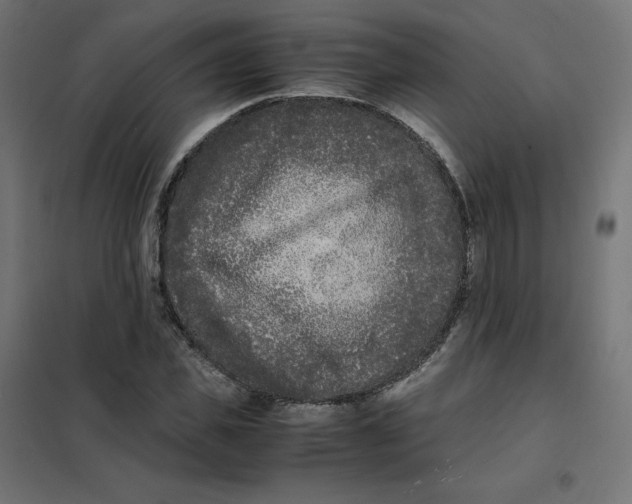 X0000102030925200808081808