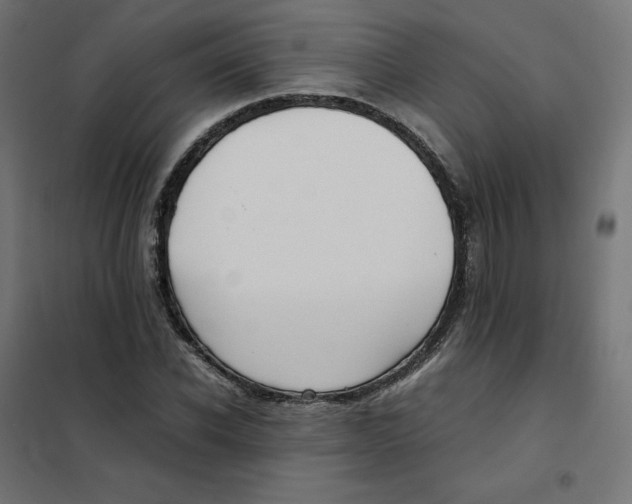 X0000102030926200808081808