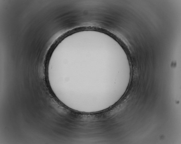 X0000102030927200808081808