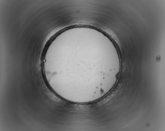 X0000102030928200808081808