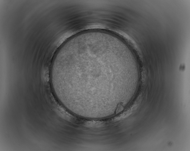 X0000102030929200808081808