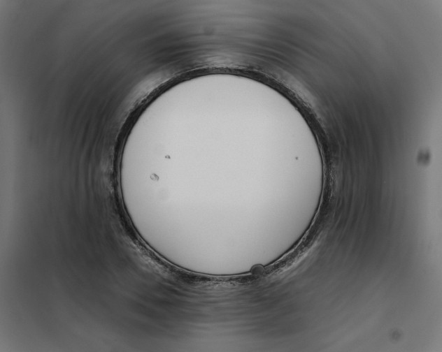 X0000102030930200808081808