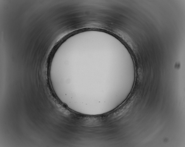 X0000102030931200808081808