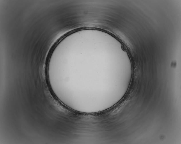 X0000102030932200808081808