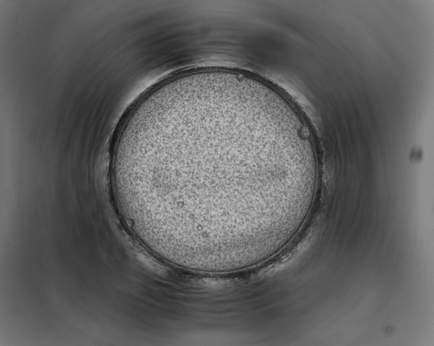 X0000102030933200808081808