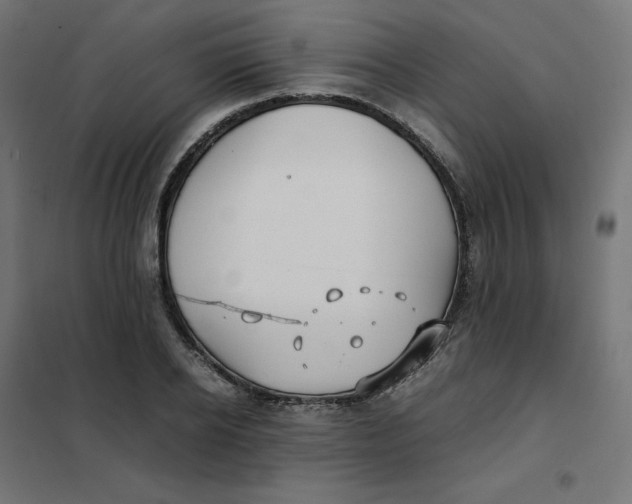 X0000102030934200808081808