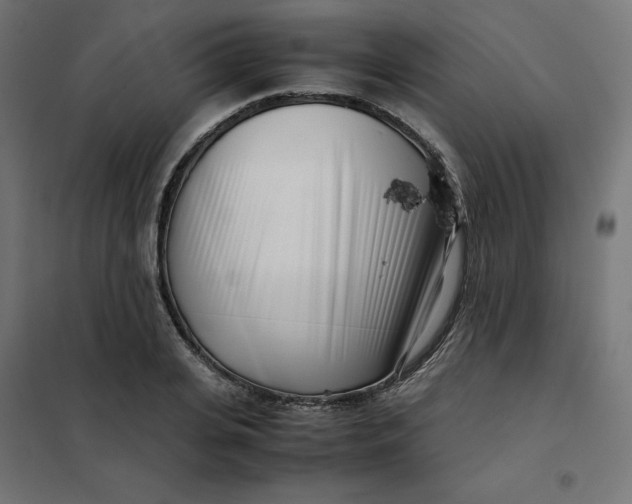 X0000102030935200808081808