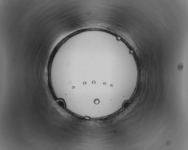 X0000102030936200808081808