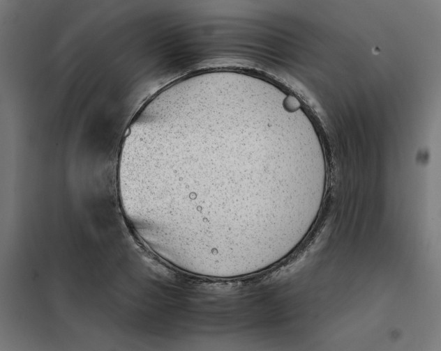 X0000102030937200808081808