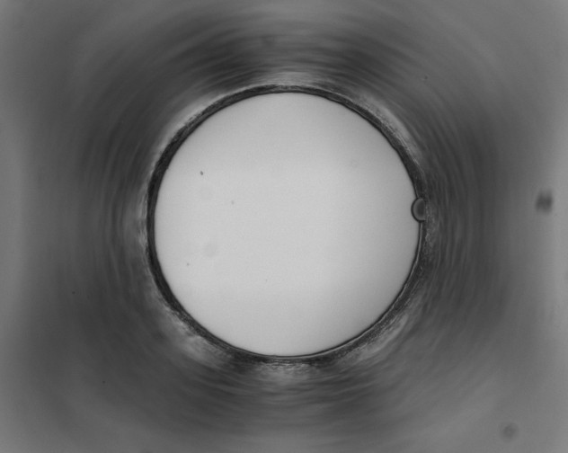 X0000102030939200808081808