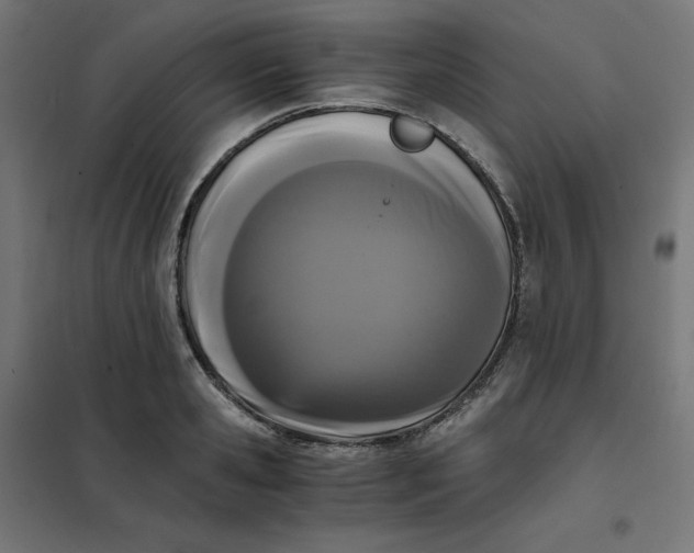 X0000102030941200808081808