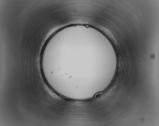 X0000102030942200808081808