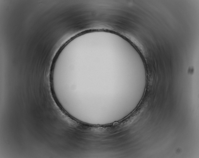 X0000102030943200808081808