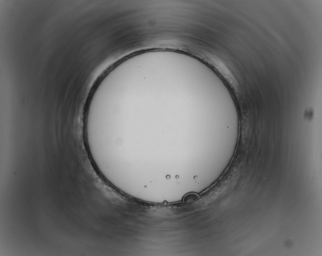 X0000102030944200808081808