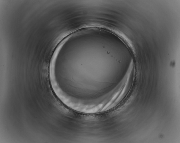 X0000102030945200808081808