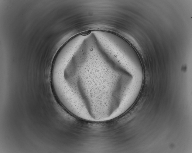 X0000102030946200808081808