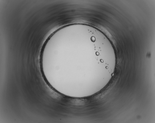 X0000102030947200808081808