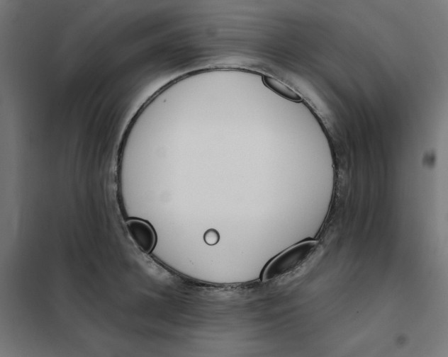 X0000102030948200808081809