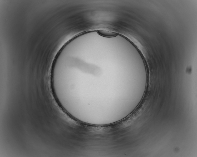 X0000102030949200808081809