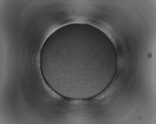 X0000102030950200808081809