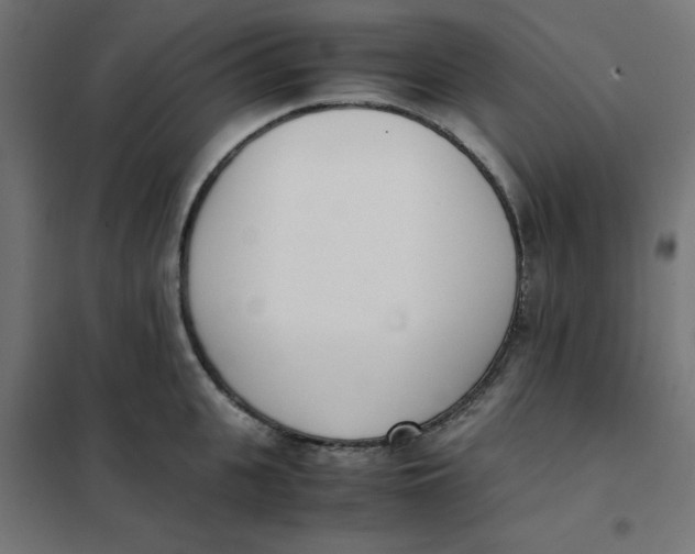 X0000102030951200808081809