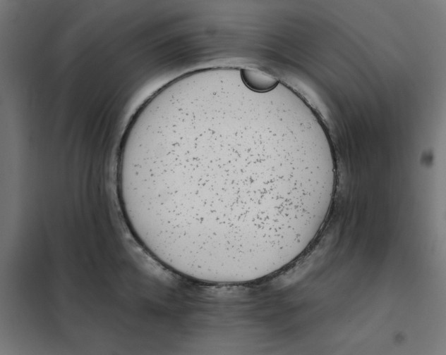 X0000102030952200808081809