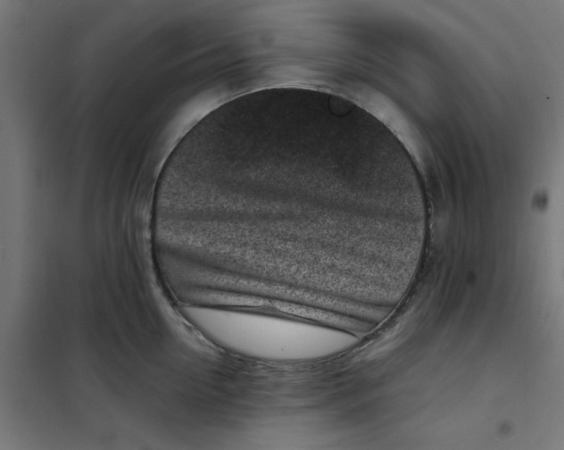 X0000102030954200808081809