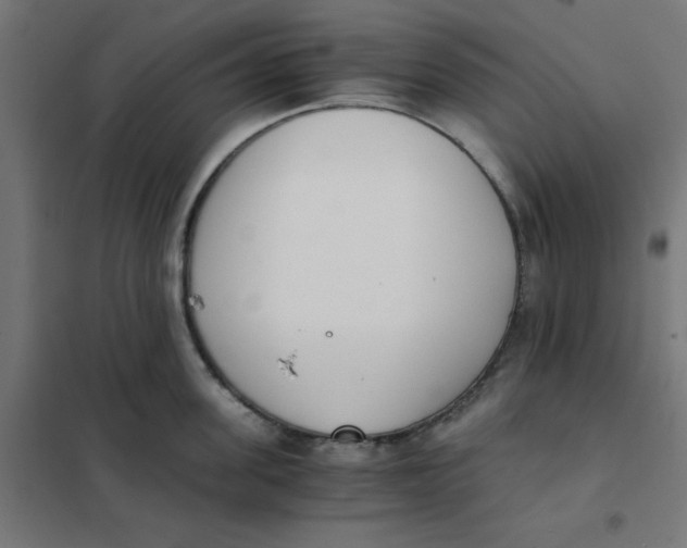 X0000102030955200808081809