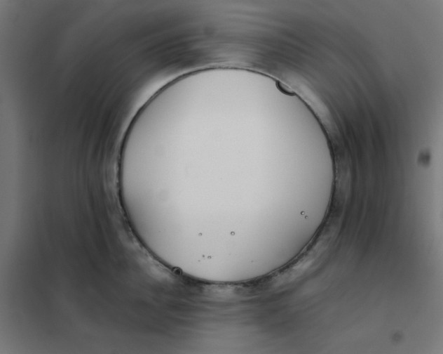 X0000102030956200808081809