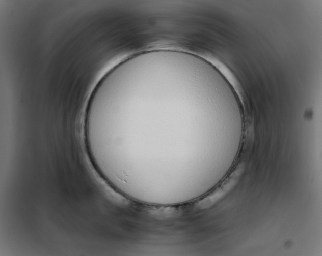 X0000102030957200808081809