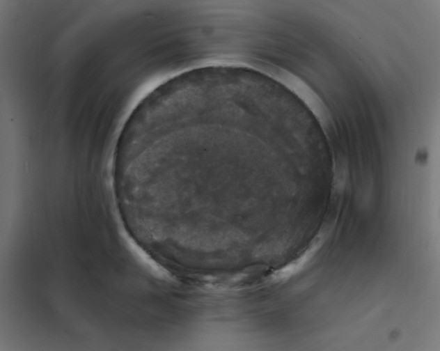 X0000102030958200808081809