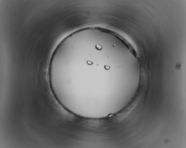 X0000102030959200808081809