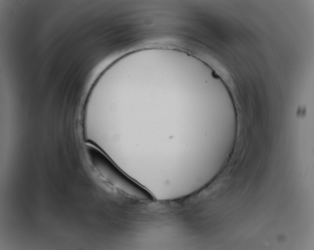 X0000102030960200808081809