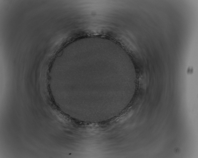 X0000102030961200808081808