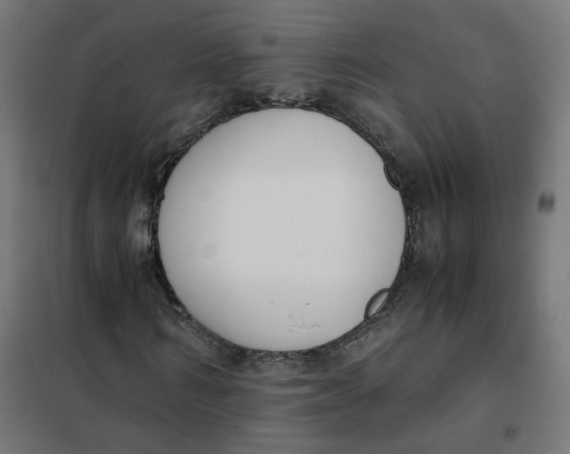 X0000102030962200808081808