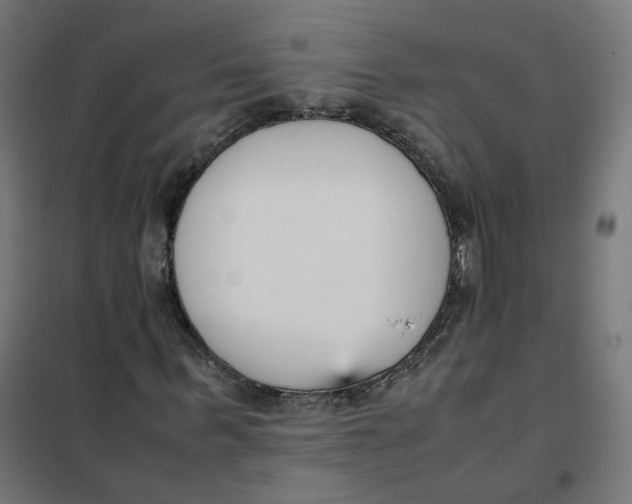 X0000102030963200808081808