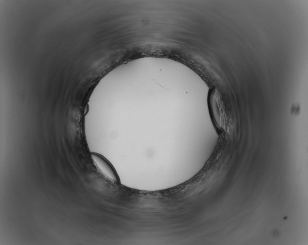 X0000102030964200808081808