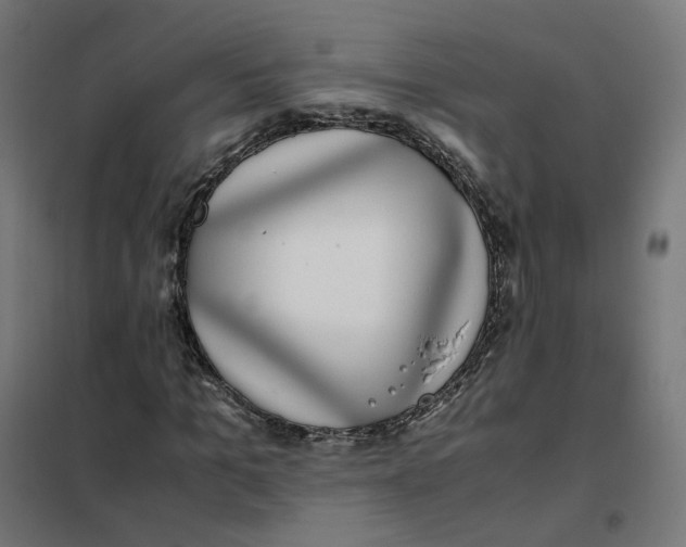 X0000102030965200808081808