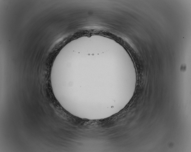 X0000102030967200808081808