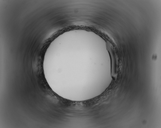 X0000102030968200808081808