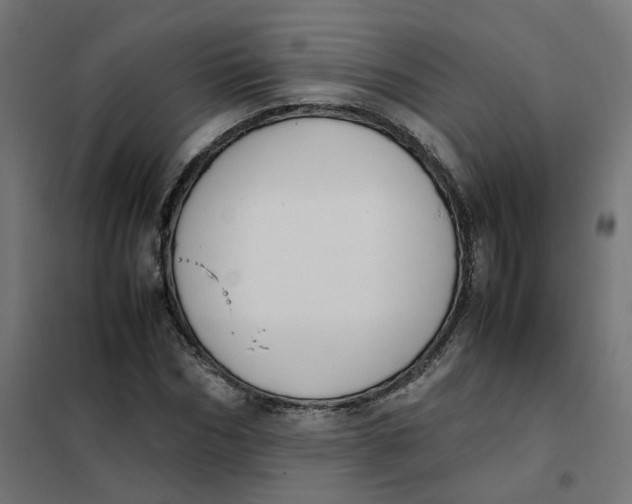 X0000102030970200808081808