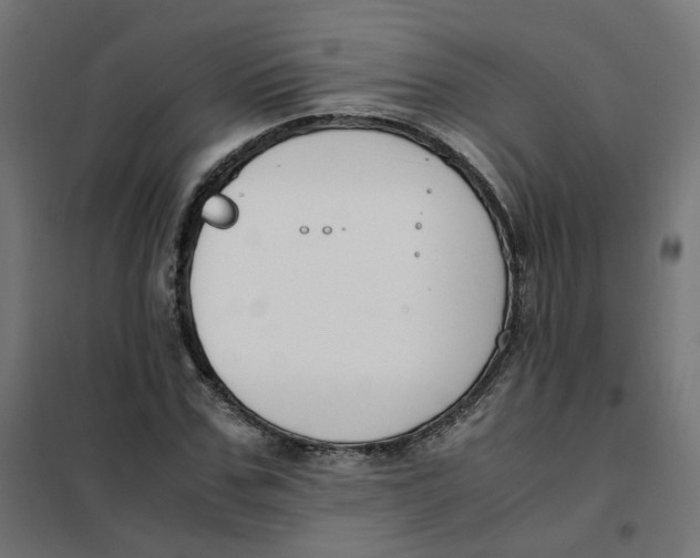 X0000102030971200808081808